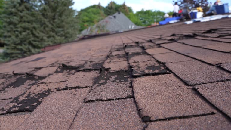 Best Wood Shake Roofing  in Garberville, CA